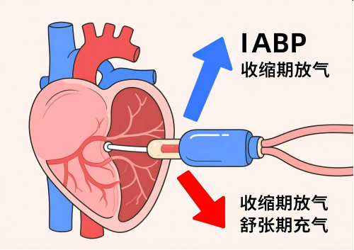 C:\Users\Administrator\Desktop\图片2(1).png C:\Users\Administrator\Desktop\图片2(1).png
