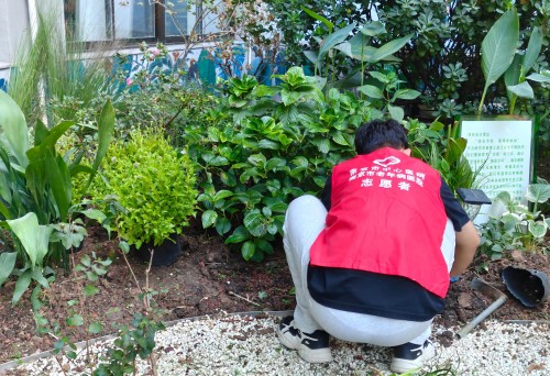 C:\Users\Administrator\Desktop\图片\20251029南京市中心医院团委新闻用图\1.jpg C:\Users\Administrator\Desktop\图片\20251029南京市中心医院团委新闻用图\1.jpg