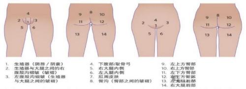 图片2.png 图片2.png